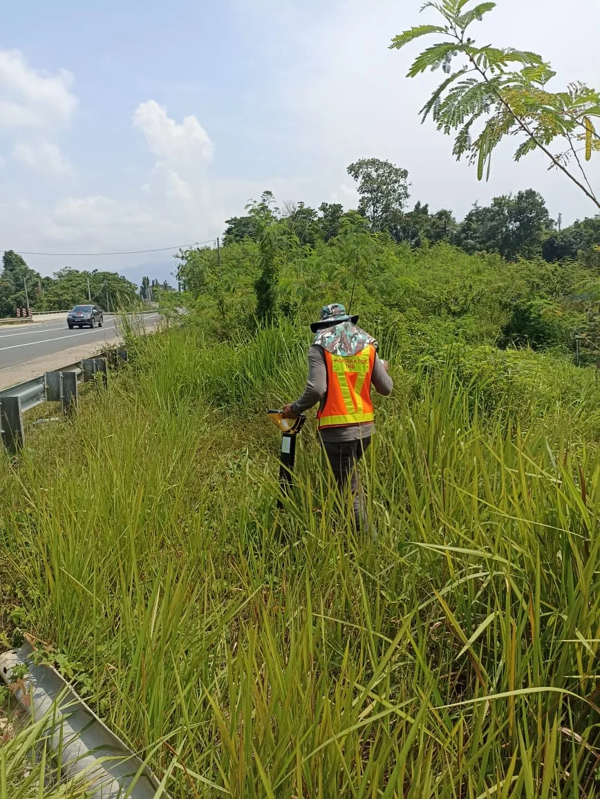 UMAP Activity - umap (36)